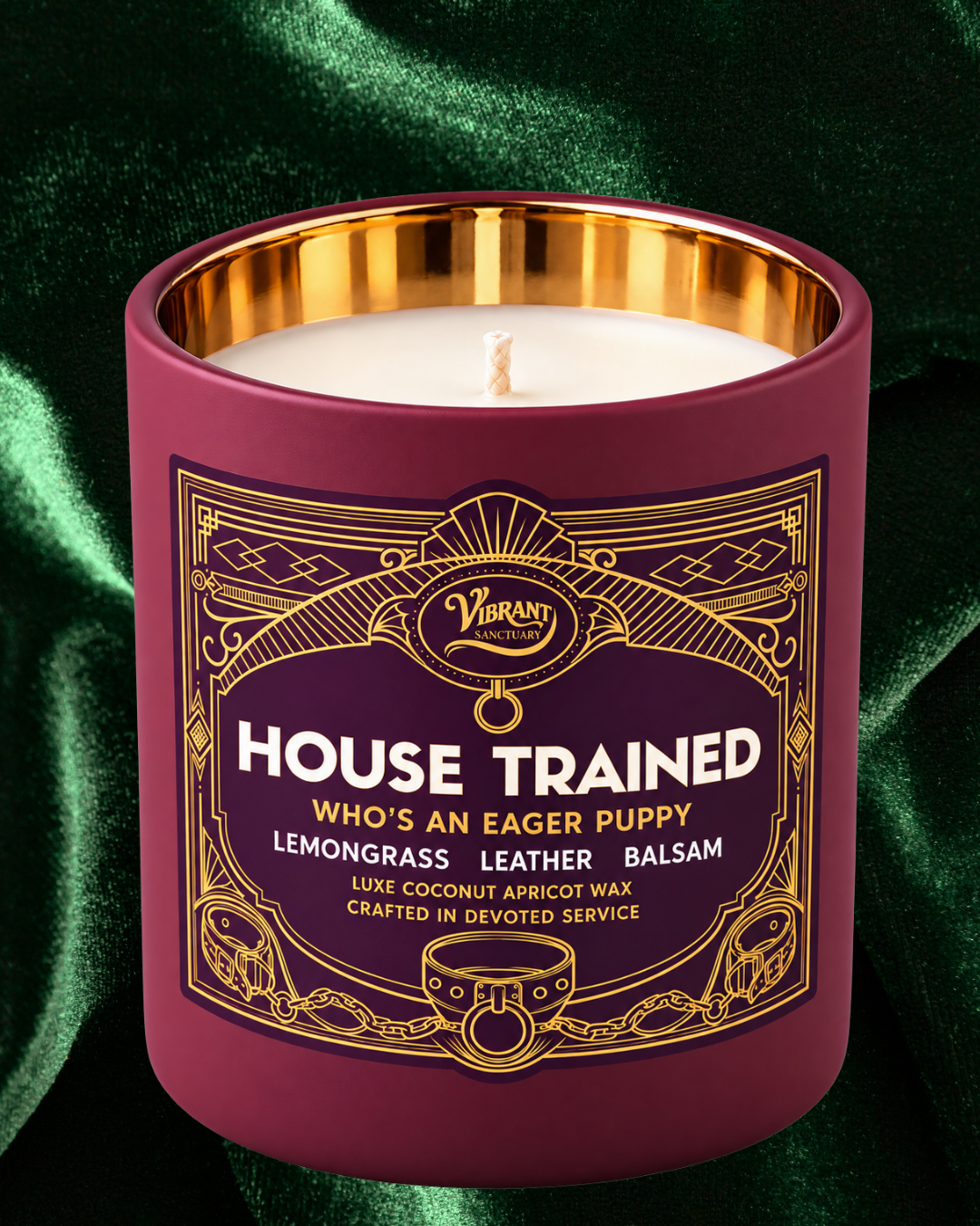 House Trained Candle